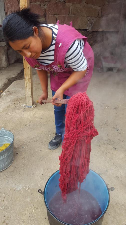 Lizu Tu Casa En Un Pueblo Zapoteca Bed & Breakfast Teotitlán del Valle Eksteriør bilde