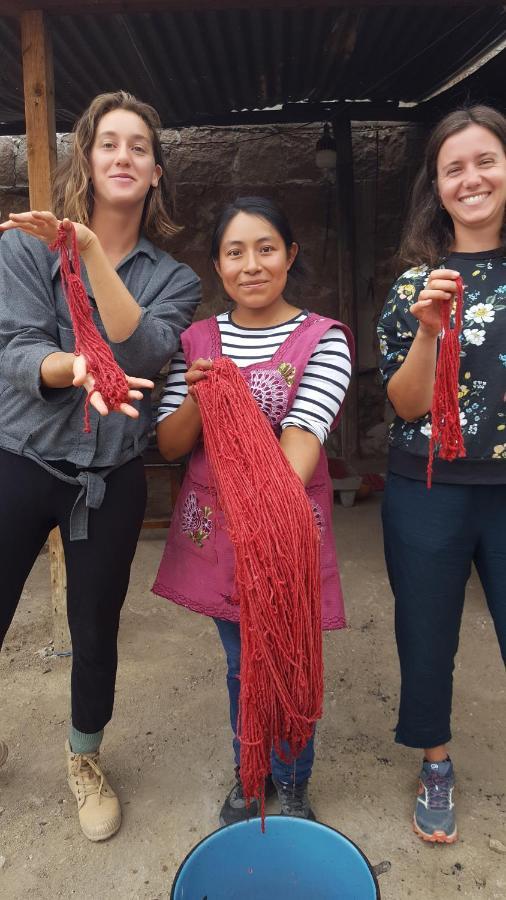 Lizu Tu Casa En Un Pueblo Zapoteca Bed & Breakfast Teotitlán del Valle Eksteriør bilde