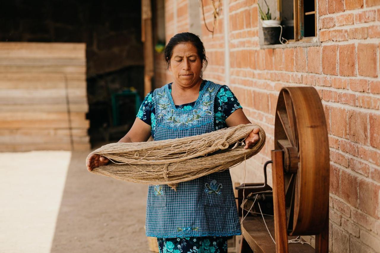 Lizu Tu Casa En Un Pueblo Zapoteca Bed & Breakfast Teotitlán del Valle Eksteriør bilde