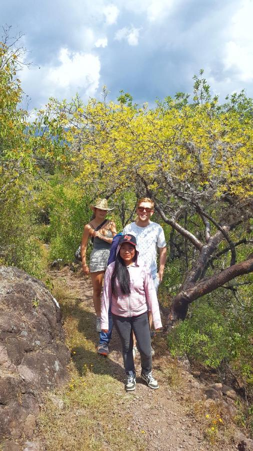 Lizu Tu Casa En Un Pueblo Zapoteca Bed & Breakfast Teotitlán del Valle Eksteriør bilde
